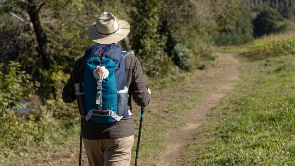 etapas del camino inglés